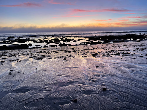 King Tide Low Tide Laguna